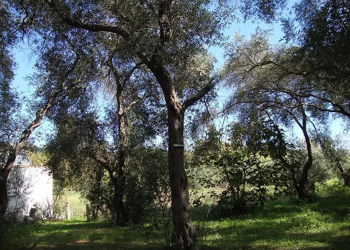 Διαμέρισμα Tasia's