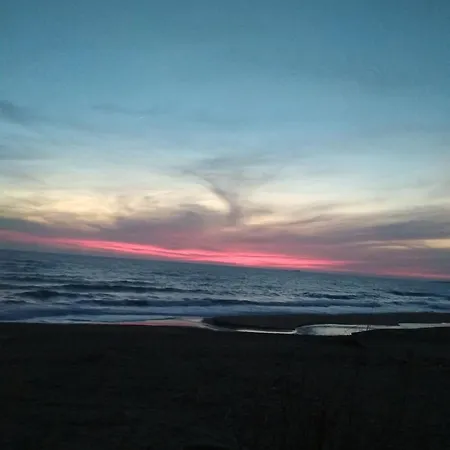 Tasia's Περιβόλι