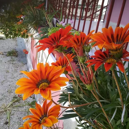 Tasia Apartmán *