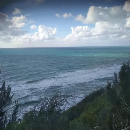 Tasia's * Περιβόλι