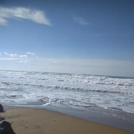 Tasia's * Περιβόλι