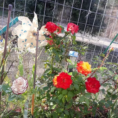 Tasia's Διαμέρισμα Περιβόλι