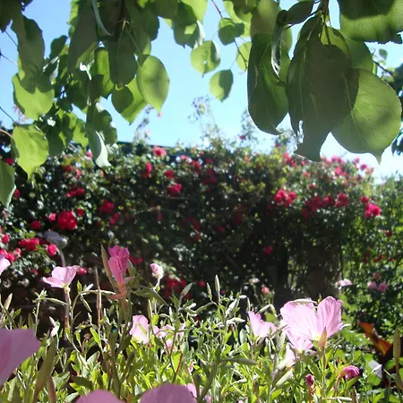 Apartament Tasia's *