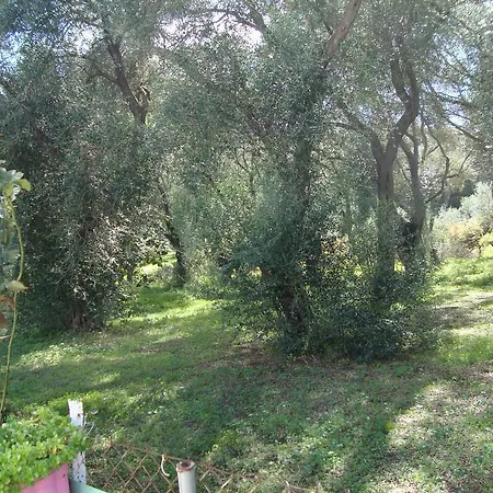 Tasia's Apartament *