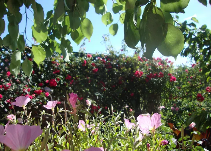 Apartament Tasia's *