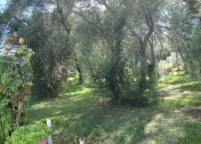Tasia's Appartamento *
